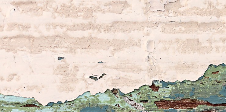 olivier-armengaud-n11-ligne-de-crete-et-foret