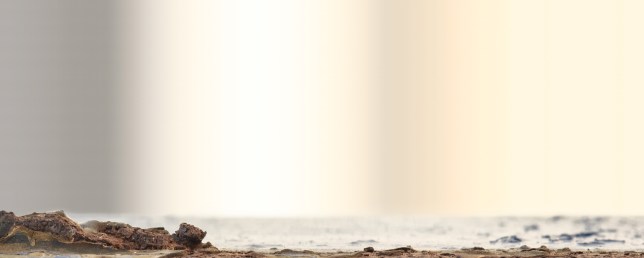 IMG_0348-RAW-CR2-42-8 ligne de tiers - OLD Ciel OK OK - RVB 300dpi OK IMPRIME