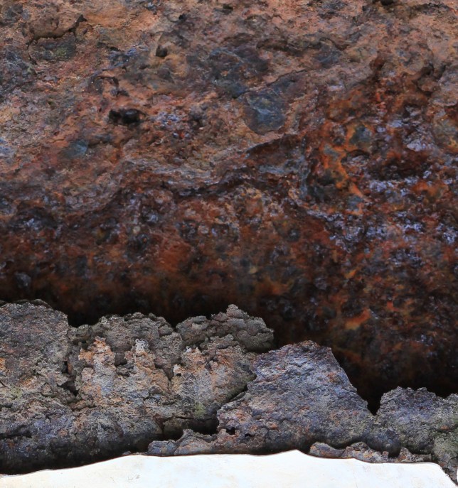 IMG_0686-1 (RIEN-MIN)(YES) - RVB OK IMPRIME