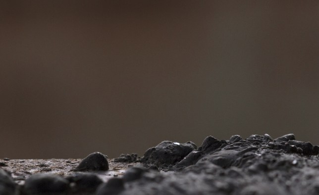 IMG_2933-RAW-CR2-43-Cadrage YESYESYES - RVB OK IMPRIME 1