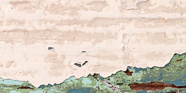 IMG_6864 (très net, la seule à virer au bleu)-20 SP--NetGain20Rayon10+corrsel1+niv1+courbe1+teintesatu1 - Cut RVB OK IMPRIME