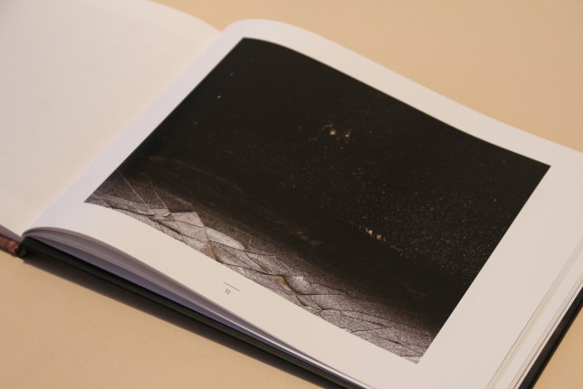 IMG_7474 cutok YESYES