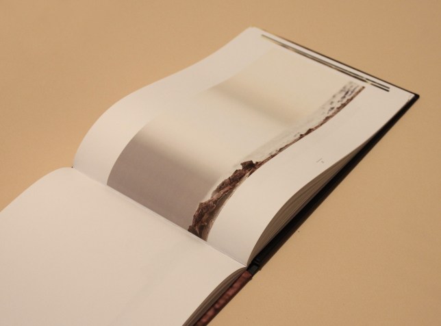 IMG_7759retocuheok3 YESYES